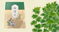 【行業(yè)資訊】國內(nèi)首部艾草專著《南陽艾》，在南陽新書首發(fā)！