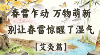 【二十四節(jié)氣灸】春雷驚醒濕氣！驚蟄艾灸3穴，疏肝祛濕養(yǎng)元氣！